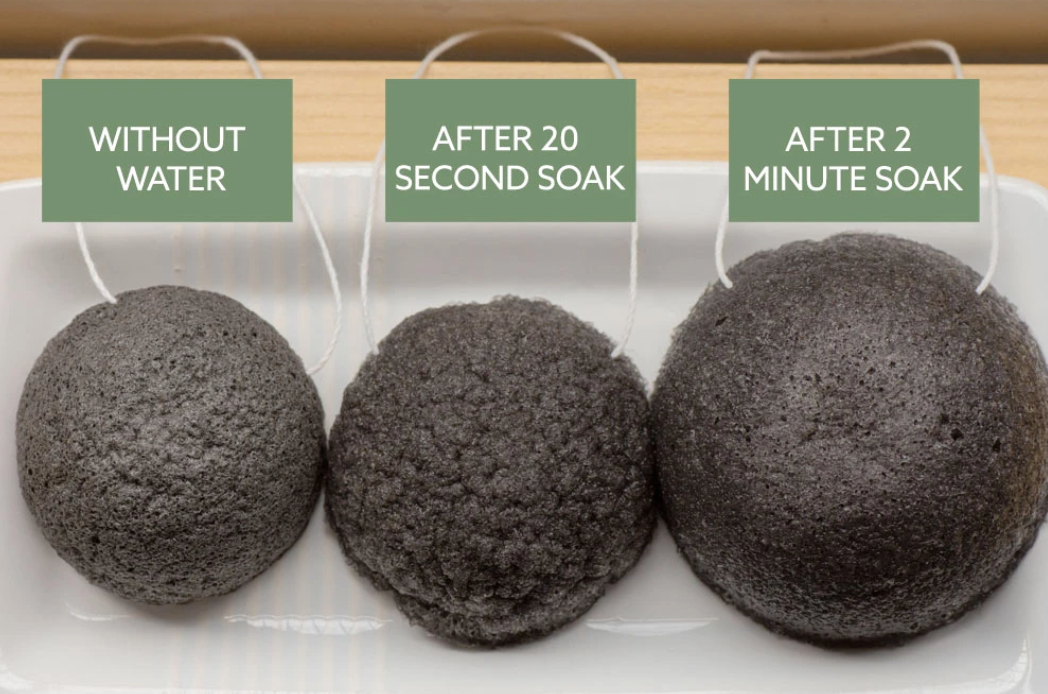 charcoal face sponge before and after water soak
