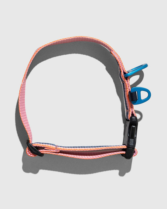united by blue woven dog collar