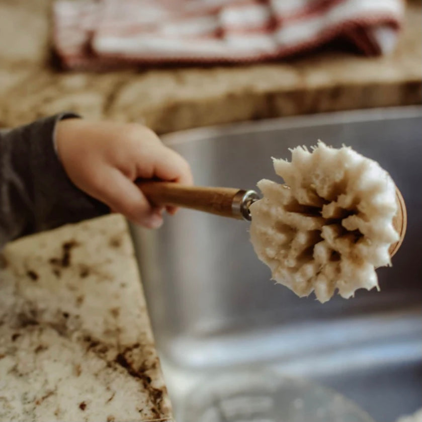 Bamboo and Sisal Dish Brush