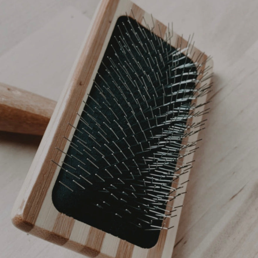 zefiro cat brush