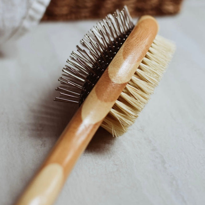 zefiro dog brush