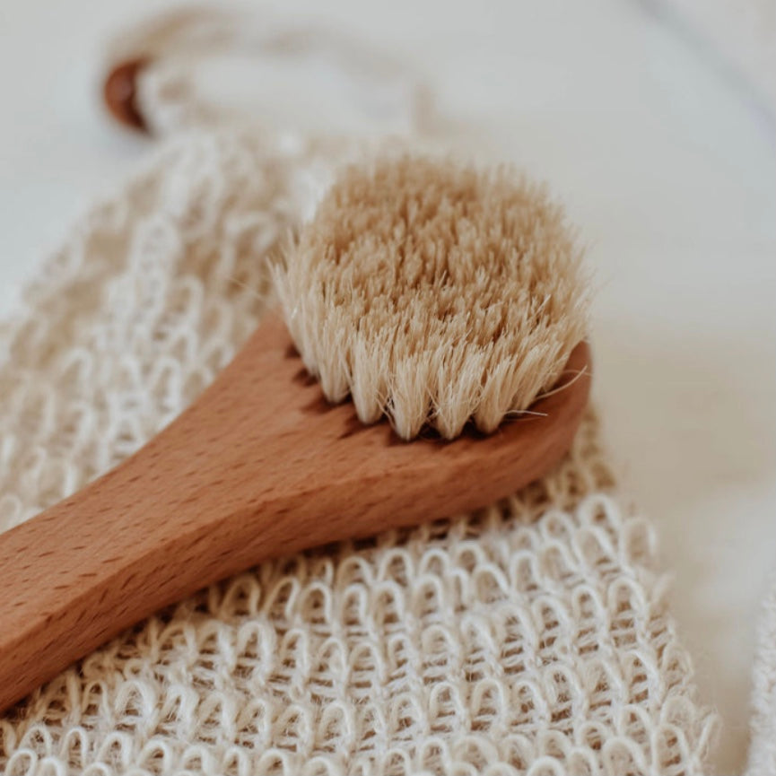 zefiro dry face brush