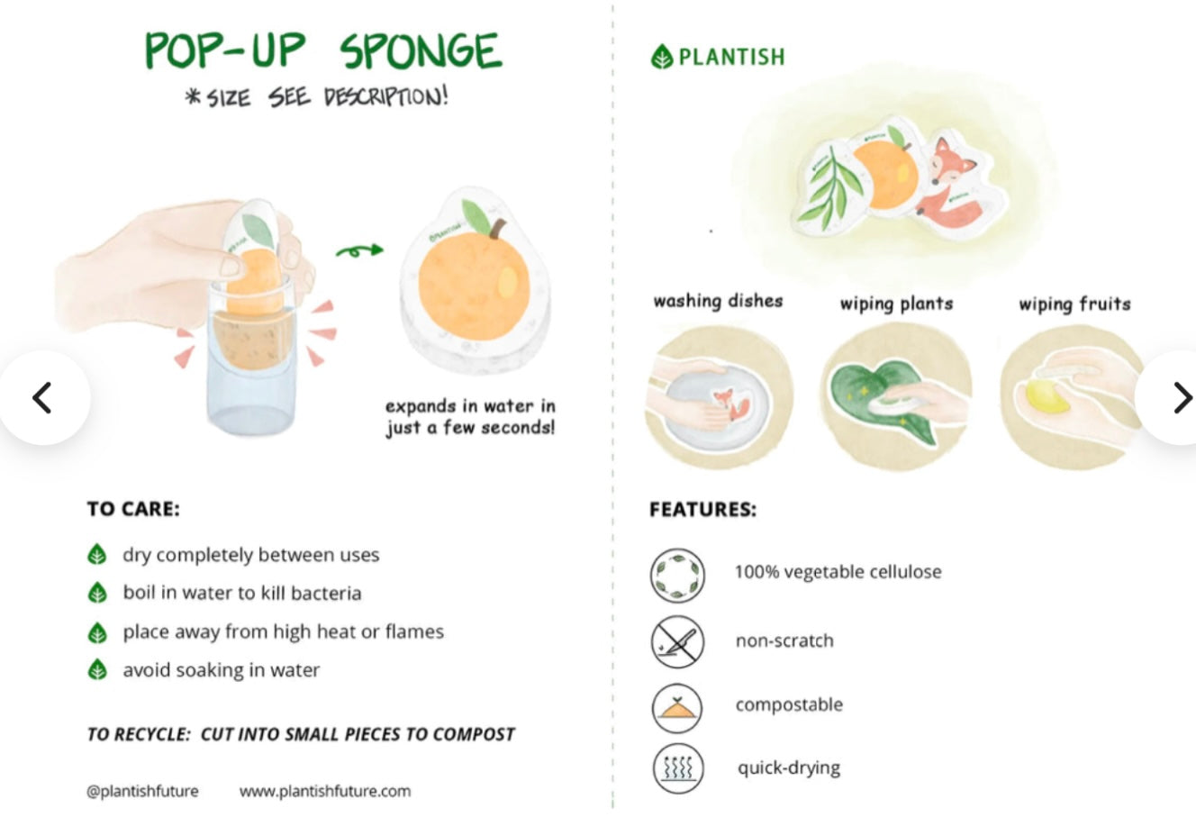 Pop-Up Sponge