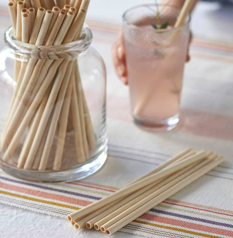 Load image into Gallery viewer, Bamboo Reusable Straw
